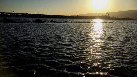 甲子園浜　２日連続　キビレとシーバス